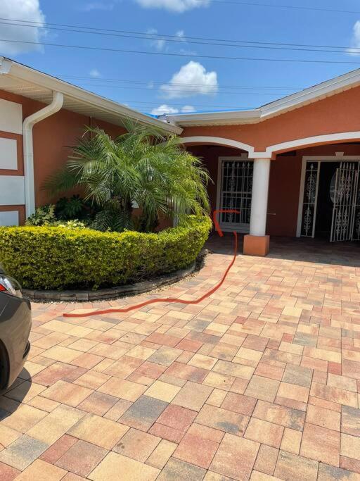 Twelve Oaks Modern Independent Apartment Tampa Exterior foto